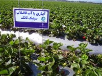 تصفیه برای فضای سبز