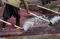 تصفیه پساب قالیشویی وکارواش